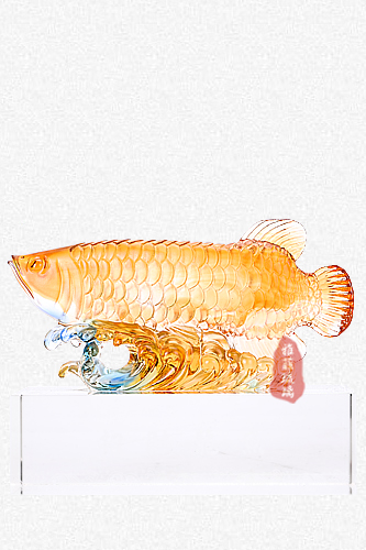 招财龙鱼